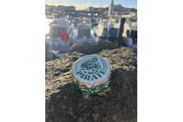 Ventr&egrave;che de thon brais&eacute;e